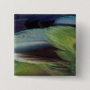 Chapa Cuadrada Diseño de patrones de plumas de loro