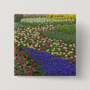 Chapa Cuadrada Diseño del jardín de la jacinto de uva y de los 