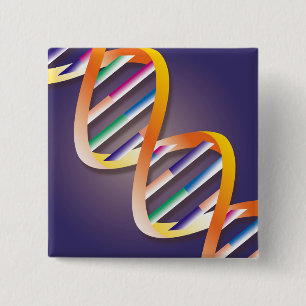 Chapa Cuadrada DNA Spotlight
