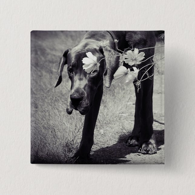 Chapa Cuadrada Dogge Balu (Anverso)