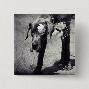 Chapa Cuadrada Dogge Balu