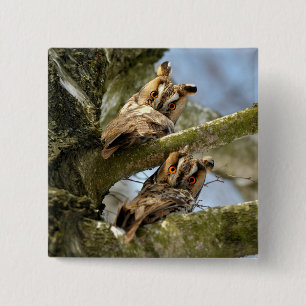 Chapa Cuadrada Dos búhos en el bosque, aves, fauna Button