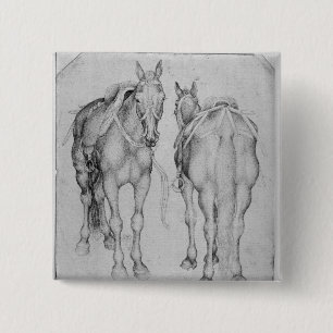 Chapa Cuadrada Dos caballos, el álbum de Vallardi