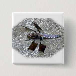 Chapa Cuadrada Dragonismo azul