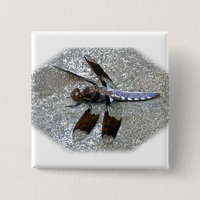 Chapa Cuadrada Dragonismo azul (Anverso)