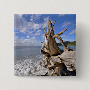 Chapa Cuadrada Driftwood en la línea de la playa de la playa