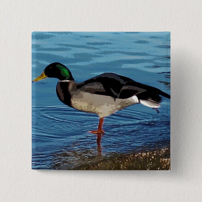 Chapa Cuadrada ducky (Anverso)