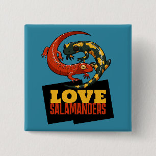 Chapa Cuadrada Dulce Amor de Salamandra Salamandras Fan Dibujo An