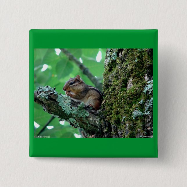 Chapa Cuadrada Dulce Chipmunk en ropa de árbol y regalos (Anverso)