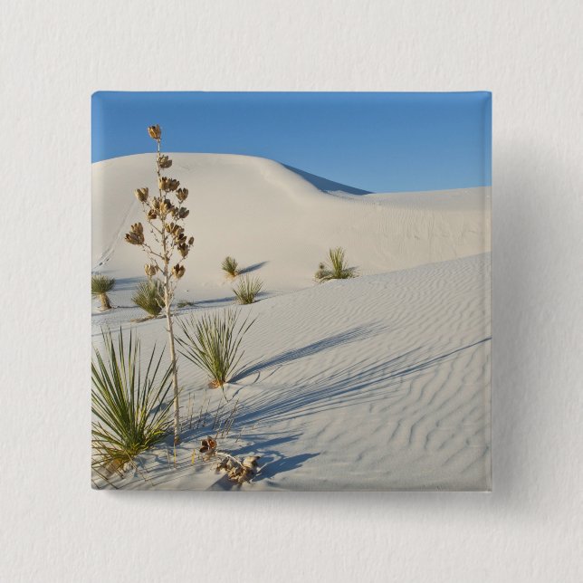 Chapa Cuadrada Dunas transversales, Yuca, sombras (Anverso)