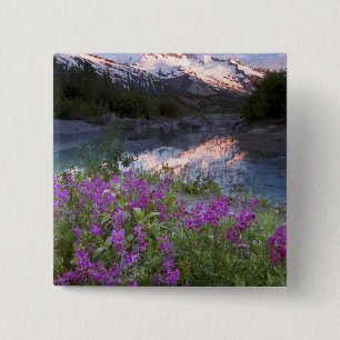 Chapa Cuadrada EE.UU., Alaska, Alsek-Tatshenshini Wilderness.