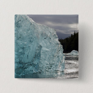 Chapa Cuadrada EE.UU., Alaska, Bosque Nacional Tongass, Tracy 2