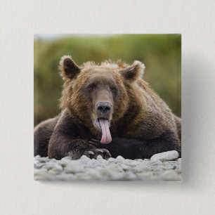Chapa Cuadrada EE. UU., Alaska, Parque Nacional Katmai, Bahía Kuk
