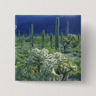 Chapa Cuadrada EE. UU., Arizona, Monumento Nacional del Cactus de