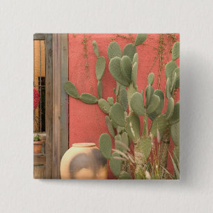 Chapa Cuadrada EE. UU., Arizona, Tucson: Distrito Histórico Presi