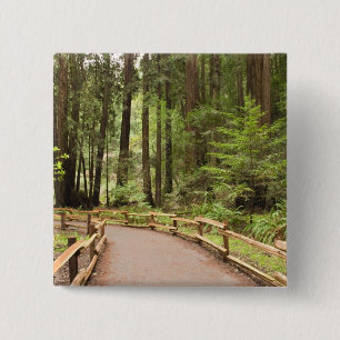 Chapa Cuadrada EE. UU., California, Condado de Marin, Muir Woods