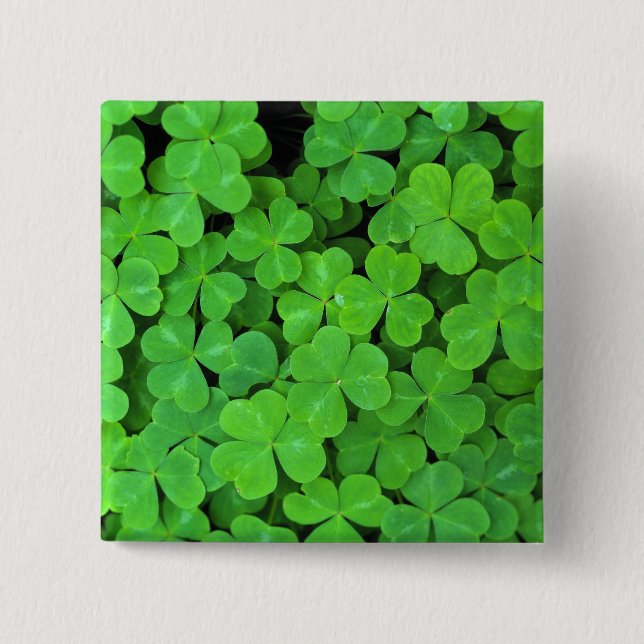 Chapa Cuadrada EE.UU., California, Jedediah Smith Rewood SP. (Anverso)