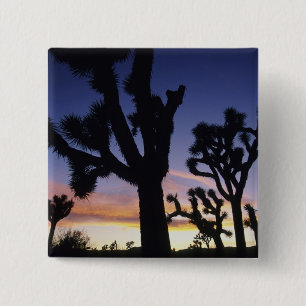Chapa Cuadrada EE. UU., California, Parque Nacional Joshua Tree,