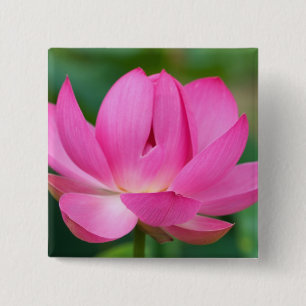 Chapa Cuadrada EE.UU.; Carolina del Norte; Flor de Lotus