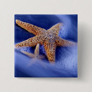 Chapa Cuadrada EE.UU., Carolina del Sur, Hilton Head Island.Dos