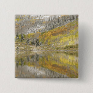 Chapa Cuadrada EE. UU., Colorado, Bosque Nacional White River, 2