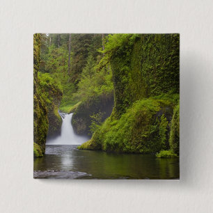 Chapa Cuadrada EE. UU., Eagle Creek, Columbia Gorge, Oregon. 3