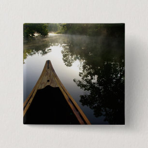 Chapa Cuadrada EE.UU., Florida, Bosque Nacional Ocala, Alexander