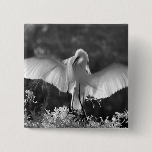 Chapa Cuadrada EE. UU., Florida, Gran Garza Blanca (Ardea alba) i