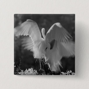 Chapa Cuadrada EE. UU., Florida, Gran Garza Blanca (Ardea alba) i