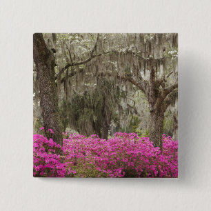 Chapa Cuadrada EE. UU., Georgia, Savannah, Primavera en Historic