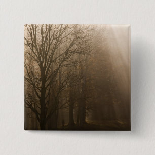 Chapa Cuadrada EE.UU. Grandes árboles de la Montaña Humeante NP