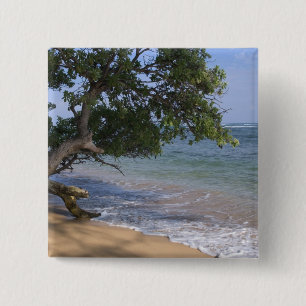 Chapa Cuadrada EE. UU., Hawái, Kauai, paisaje de playa. RF)