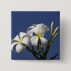 Chapa Cuadrada EE. UU., Hawái, Kauai, plumeria blanca.
