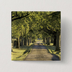 Chapa Cuadrada EE.UU., Kentucky, Lexington. Carretera arbolada,