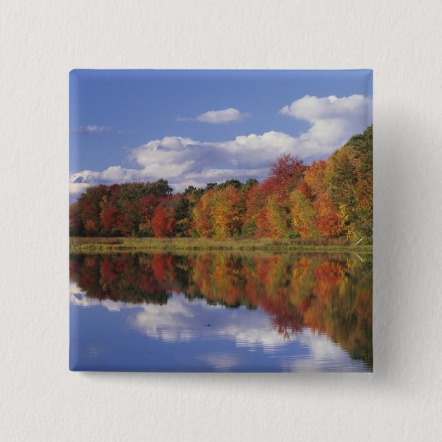 Chapa Cuadrada EE. UU., Massachusetts, Acton. Reflejo de otoño (Anverso)