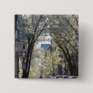 Chapa Cuadrada EE. UU., Massachusetts, Boston, Beacon Hill.