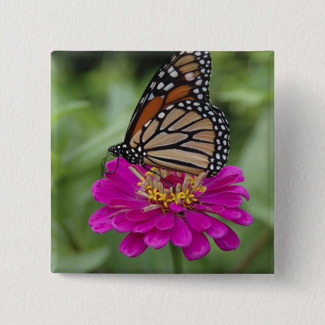 Chapa Cuadrada EE.UU., Massachusetts, Boylston, Tower Hill (Anverso)