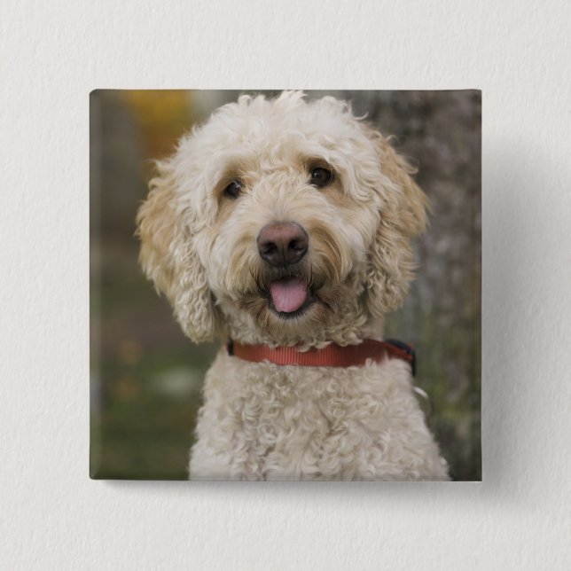 Chapa Cuadrada EE.UU., Nueva Inglaterra, Massachusetts, Lectura, (Anverso)