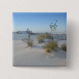 Chapa Cuadrada EE. UU., Nuevo México, White Sands National 2