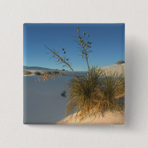 Chapa Cuadrada EE. UU., Nuevo México, White Sands National 3