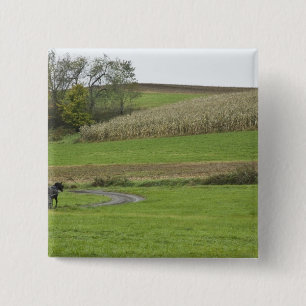 Chapa Cuadrada EE. UU., Ohio nororiental. Carruaje Amish en granj