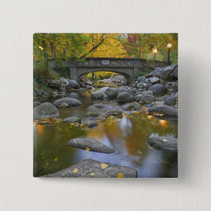 Chapa Cuadrada EE. UU., Oregón, Ashland, Lithia Park. Otoño