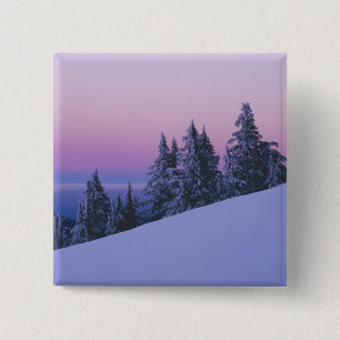 Chapa Cuadrada EE.UU., Oregón, Bosque Nacional Deschutes, Dusk