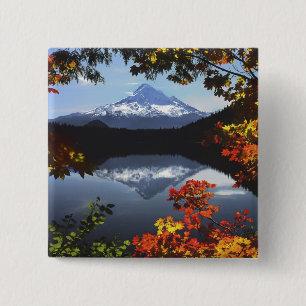 Chapa Cuadrada EE. UU., Oregón, Bosque Nacional Mt. Hood.