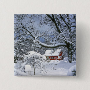 Chapa Cuadrada EE. UU., Oregón, Condado de Clackamas. Nieve fresc