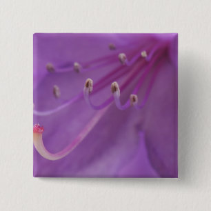 Chapa Cuadrada EE.UU., Oregón, Portland. Cierre de un