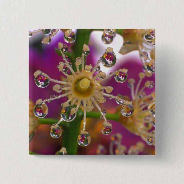 Chapa Cuadrada EE.UU., Oregón, Portland. Las flores de cosmos se  (Anverso)