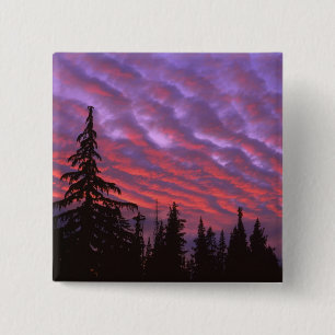 Chapa Cuadrada EE.UU., Oregón, Tres Hermanas Silvestre, Vivid