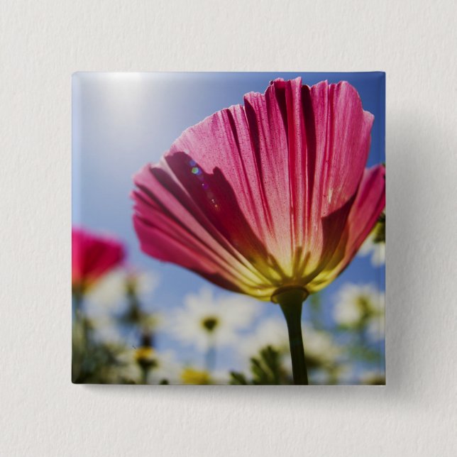 Chapa Cuadrada EE. UU., Oregón, Valle de Willamette, Primer plano (Anverso)