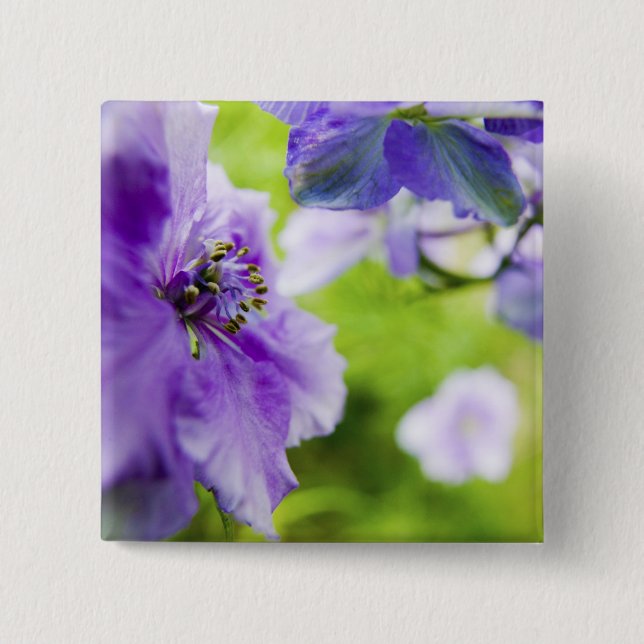 Chapa Cuadrada EE.UU., Oregón, Willamette Valley, Larkspur Close  (Anverso)